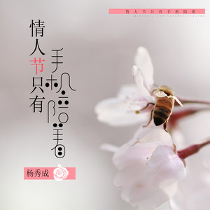 情人节只有手机陪着