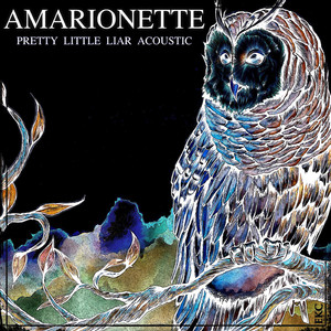 Pretty Little Liar (Acoustic)