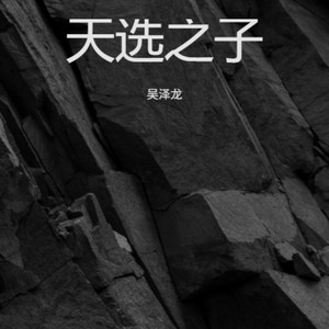天选之子