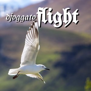 Flight