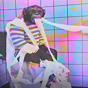 monkey in my bathroom(feat. Yung Clutz) (Explicit)