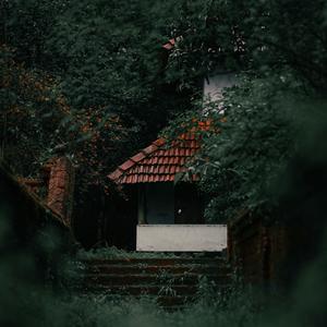 雨落青檐
