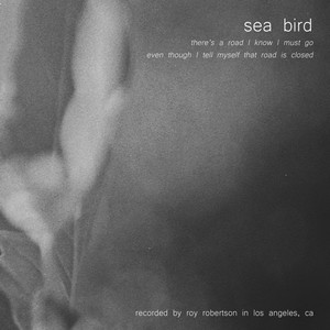 Sea Bird