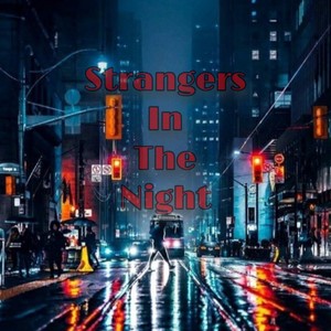 Strangers In The Night