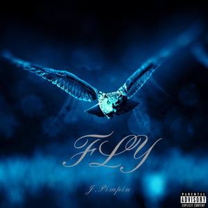 FLY (Explicit)