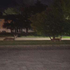 dont chase your dreams (Explicit)