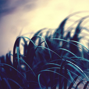 海来阿本 - 终会遇见你 (秒针版)