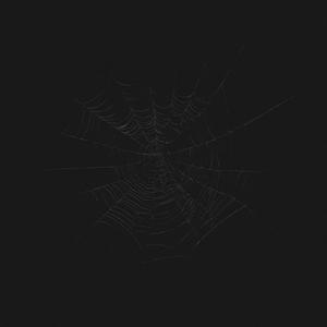 Žiadna Triezva Hlava (feat. hurr!cane) (Explicit)