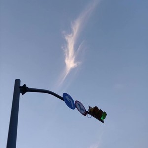 不再等候的姑娘