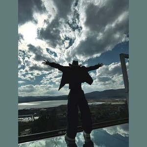 九号公馆(江湖的虎)