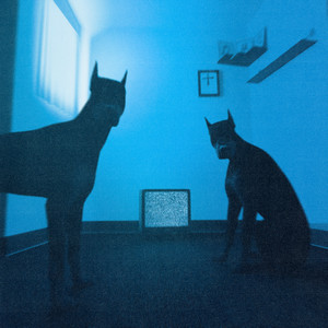 криминал/не криминал (Explicit)