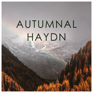 String Quartet No. 1 in B flat, H.III No. 1 (Op. 1 No. 1) - 5. Presto (Haydn: 5. Presto [String Quartet No.1 in B Flat Major, Hob.III:1 (Op.1 No.1)]|5. Presto|Ｈａｙｄｎ：　５．　Ｐｒｅｓｔｏ　［Ｓｔｒｉｎｇ　Ｑｕａｒｔｅｔ　Ｎｏ．１　ｉｎ　Ｂ　Ｆｌａｔ　Ｍａｊｏｒ，　Ｈｏｂ．ＩＩＩ：１　（Ｏｐ．１　Ｎｏ．１）］)