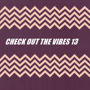 CHECK OUT THE VIBES 13