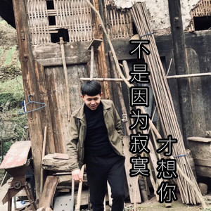 不是因为寂寞才想你