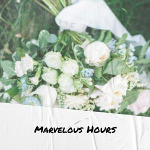 Marvelous Hours