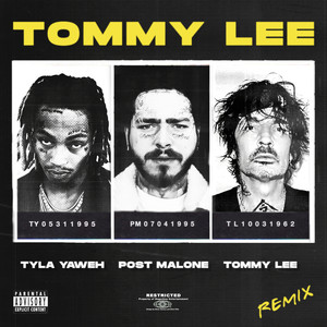 Tommy Lee (Tommy Lee Remix) [Explicit]