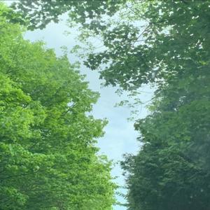 under the weather (Explicit)