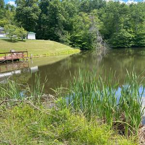 Love You Better (Live in the Studio)