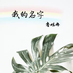 我的名字