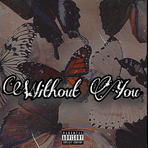 Without You (feat. CHEETO!) [Explicit]