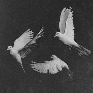 Clips (feat. Derrty Shirt) (Explicit)