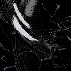 Sonder III (Safari Riot Remix)