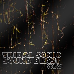 Tribal Sonic Soundblast,Vol.39