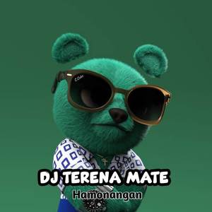 DJ TERENA METTE KANE - Inst