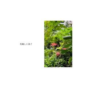 花越しに泳ぐ (feat. 初音ミク)