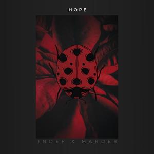 Hope(feat. Marder)