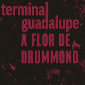 A Flor de Drummond