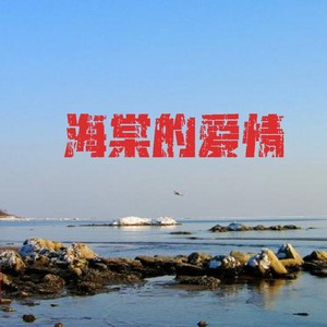 南宫煌琰 - 海棠树的风 (笛子民谣版)