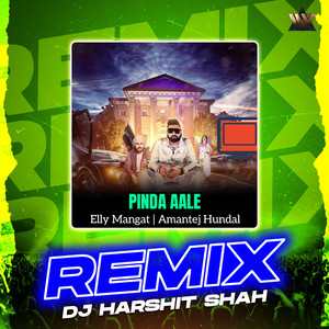 Pinda Aale (Remix)