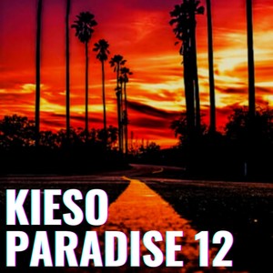 Kieso Paradise 12