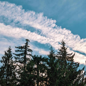 there has to be more (feat. evergarden)