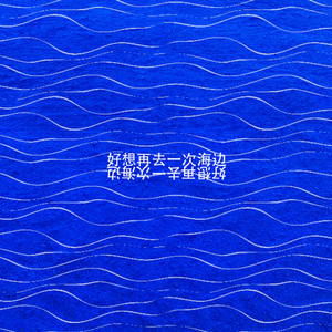 好想再去一次海边