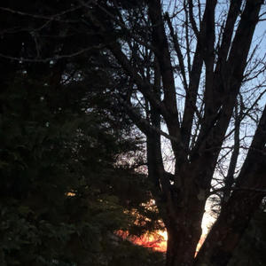 second grade (feat. longnightintokyo & Amante2k14) (Explicit)