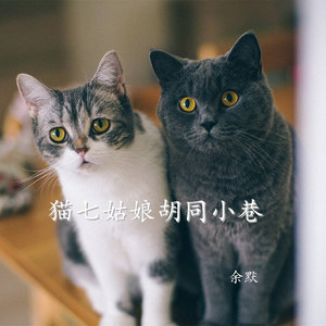 猫七姑娘胡同小巷