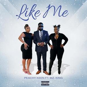 Like Me (feat. MzKing) [Radio Edit]