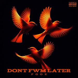 not my problem (interlude) (Explicit)