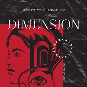 DIMENSION 2017