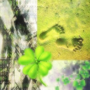 Footprint (Explicit)