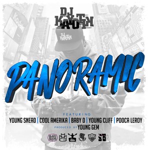 Panoramic (feat. Young Snead, Pooca Leroy, Baby D, Young Cliff, Cool Amerika) - Single [Explicit]