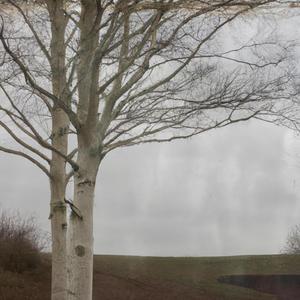 i taste it from here (Explicit)