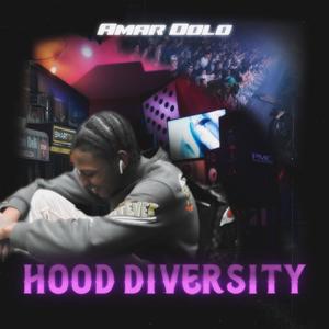 Hood Diversity (Explicit)