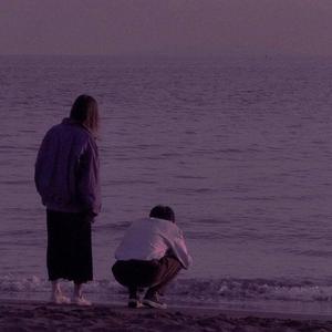 把爱散落在人间