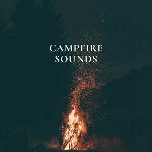 Campfire Comfort