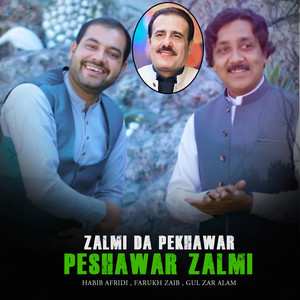 Zalmi Da Pekhawar Peshawar Zalmi