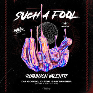 Such a Fool (DJ Goozo & Diego Santander Circuit Mix 2024)
