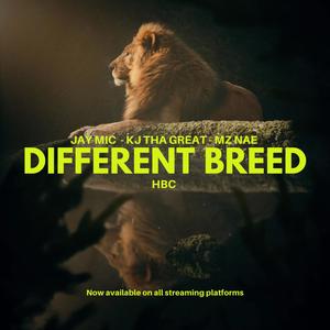 Different Breed HBC (Explicit)